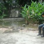 Guangzhou Crocodile Park - Гуанчжоу