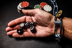 Вход на официальный сайт Pelican Casino
